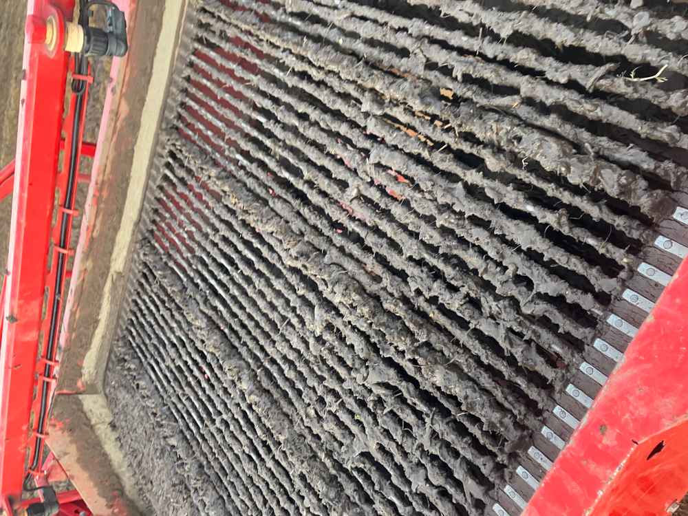 GRIMME Grimme Varitron 270 Platinum TT, Self-Propelled, Carrot Harvester - detail