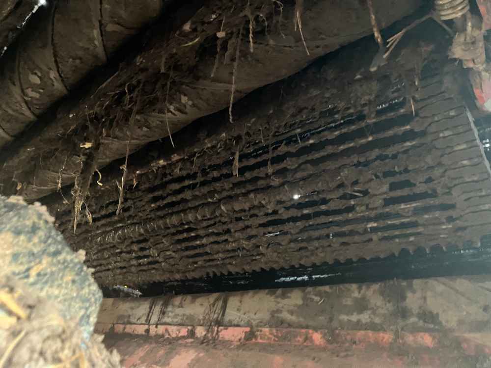 GRIMME VARITRON 270 PLATINUM TT - detail