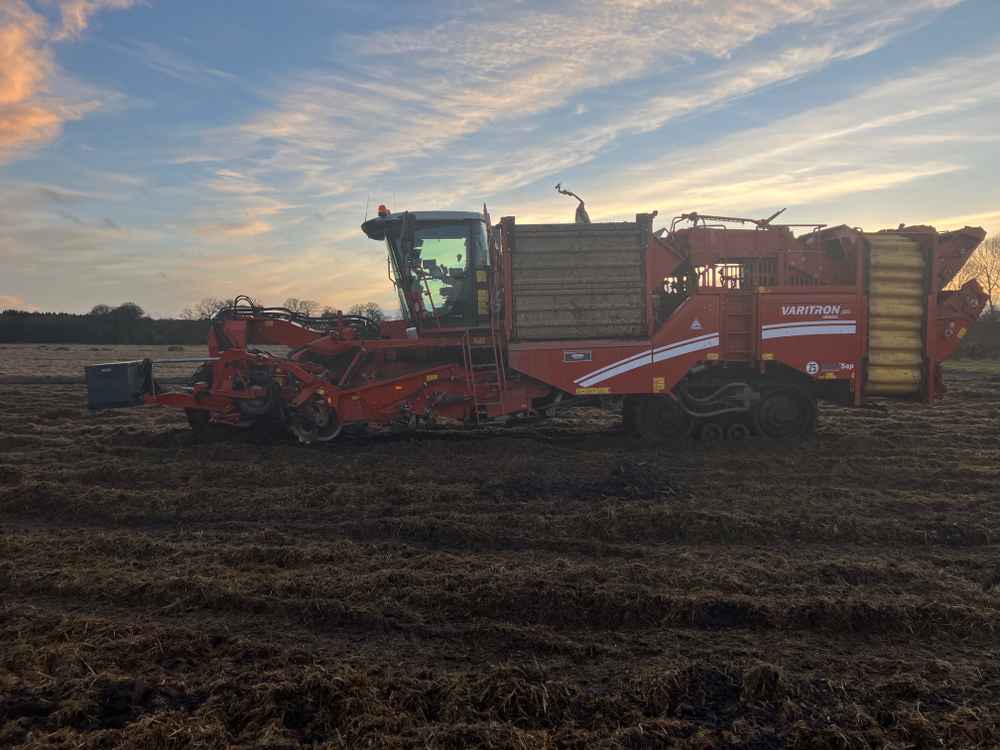 GRIMME Grimme Varitron 270 Platinum TT, Self-Propelled, Carrot Harvester - detail