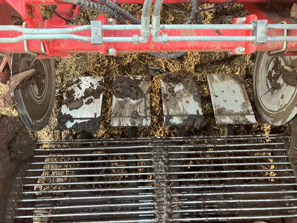 GRIMME Grimme Varitron 270 Platinum TT, Self-Propelled, Carrot Harvester - detail