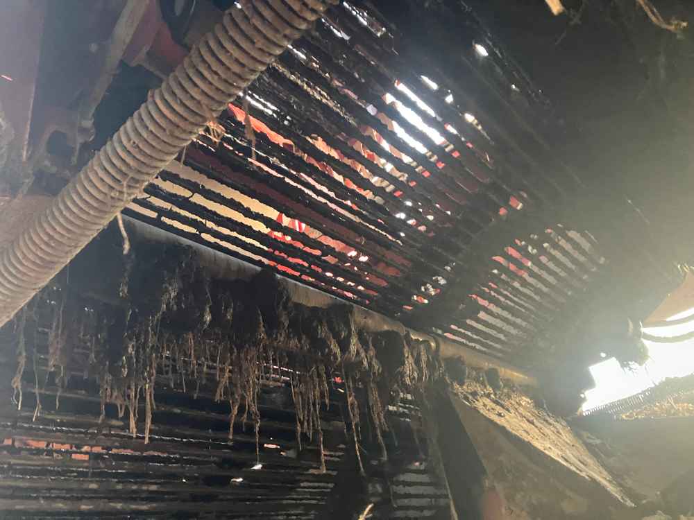 GRIMME Grimme Varitron 270 Platinum TT, Self-Propelled, Carrot Harvester - detail