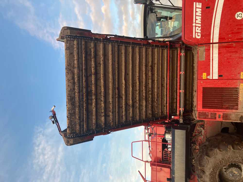 GRIMME Grimme Varitron 270 Platinum TT, Self-Propelled, Carrot Harvester - detail