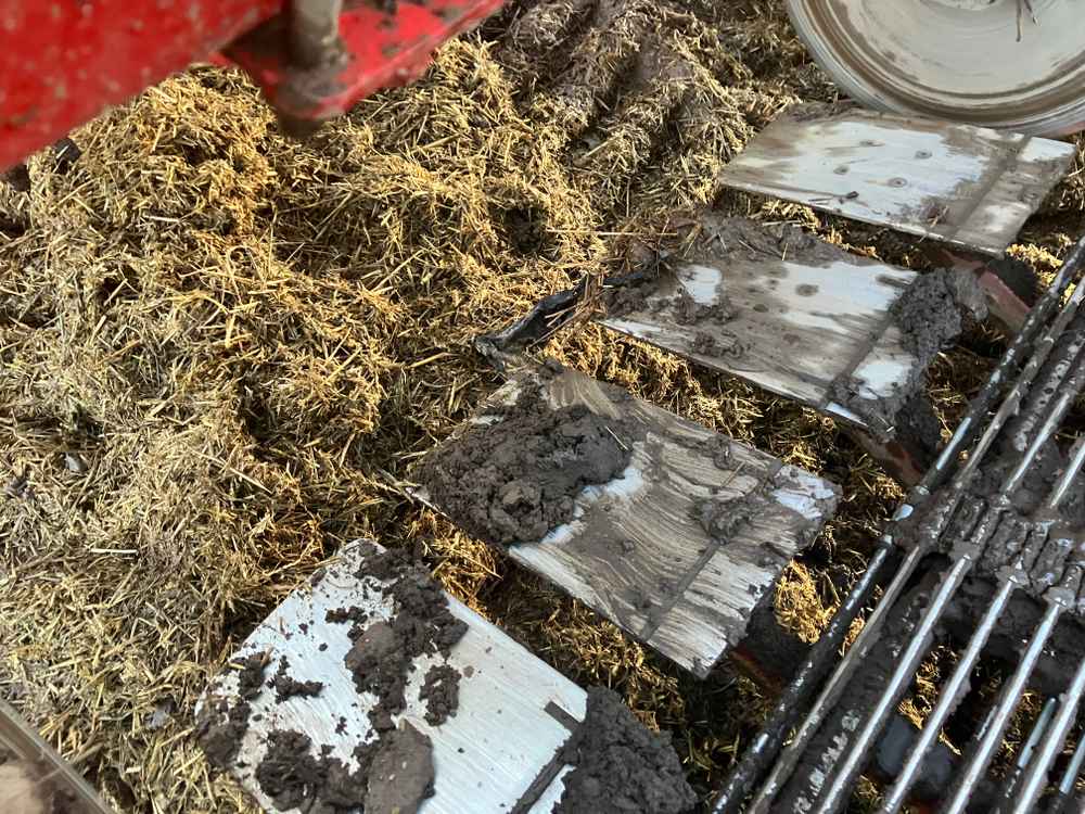 GRIMME VARITRON 270 PLATINUM TT - detail