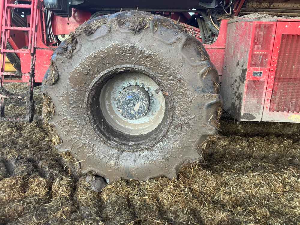 GRIMME VARITRON 270 PLATINUM TT - detail