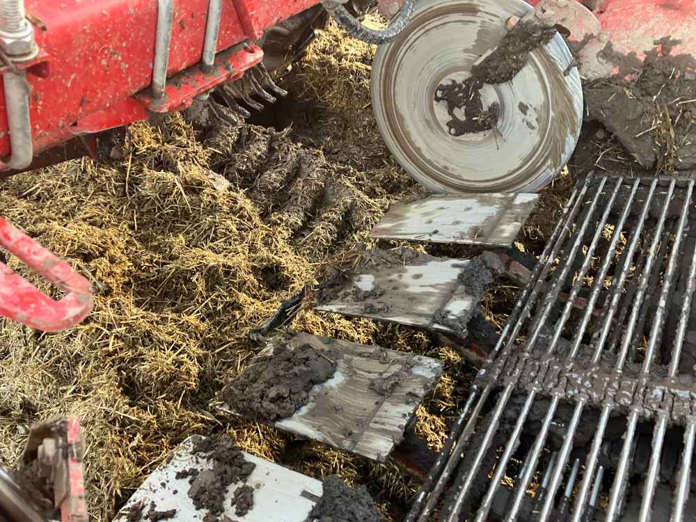 GRIMME Grimme Varitron 270 Platinum TT, Self-Propelled, Carrot Harvester - detail