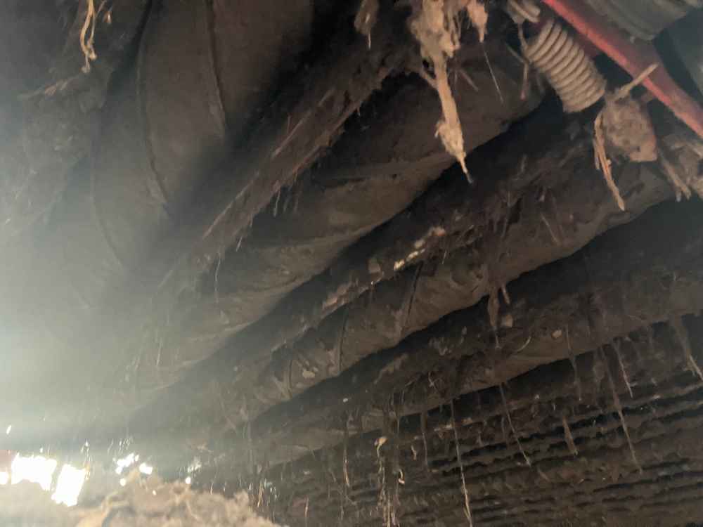 GRIMME Grimme Varitron 270 Platinum TT, Self-Propelled, Carrot Harvester - detail