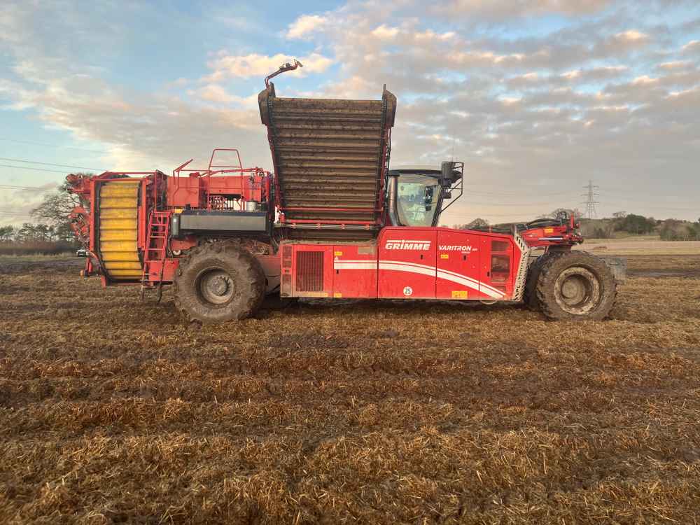 GRIMME VARITRON 270 PLATINUM TT - back