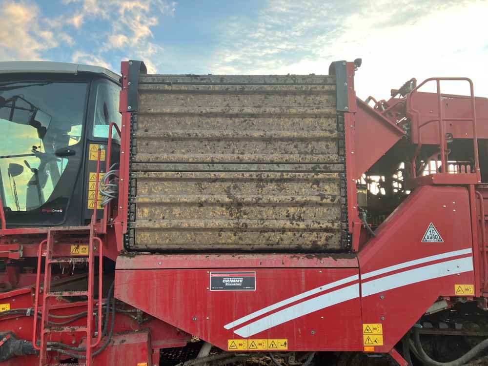 GRIMME Grimme Varitron 270 Platinum TT, Self-Propelled, Carrot Harvester - front