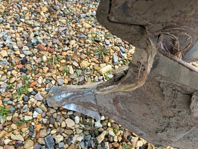 Standen Standen BB2/H200, 2 Row, Mounted, Cup, Potato Planter - detail