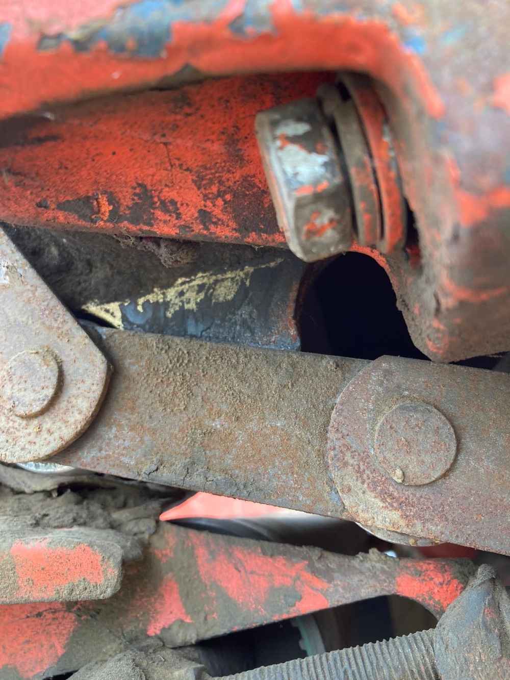 Downs Downs DG 6FT Potato Grader, With Scotts Unit - detail