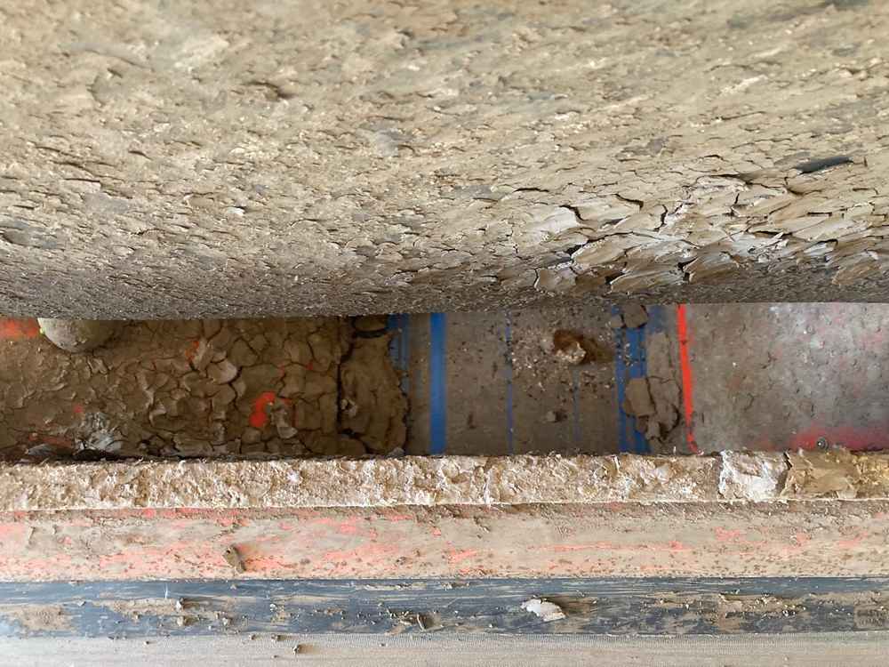 Downs Downs DG 6FT Potato Grader, With Scotts Unit - detail