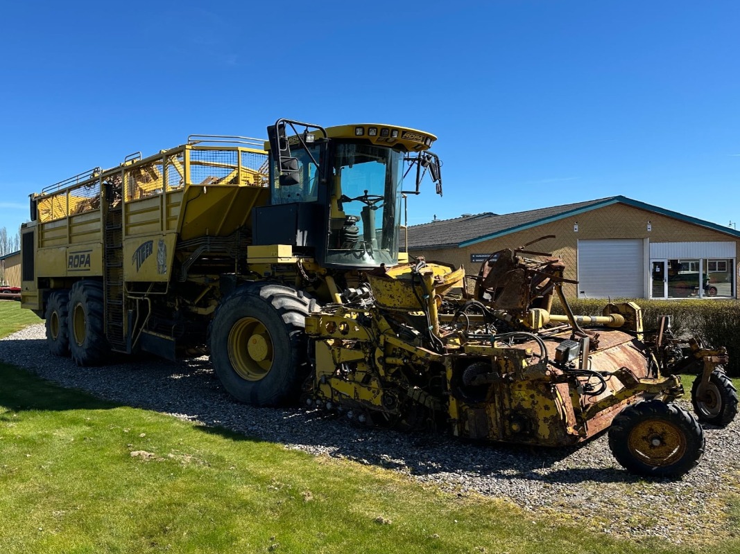 Ropa Euro Tiger - detail