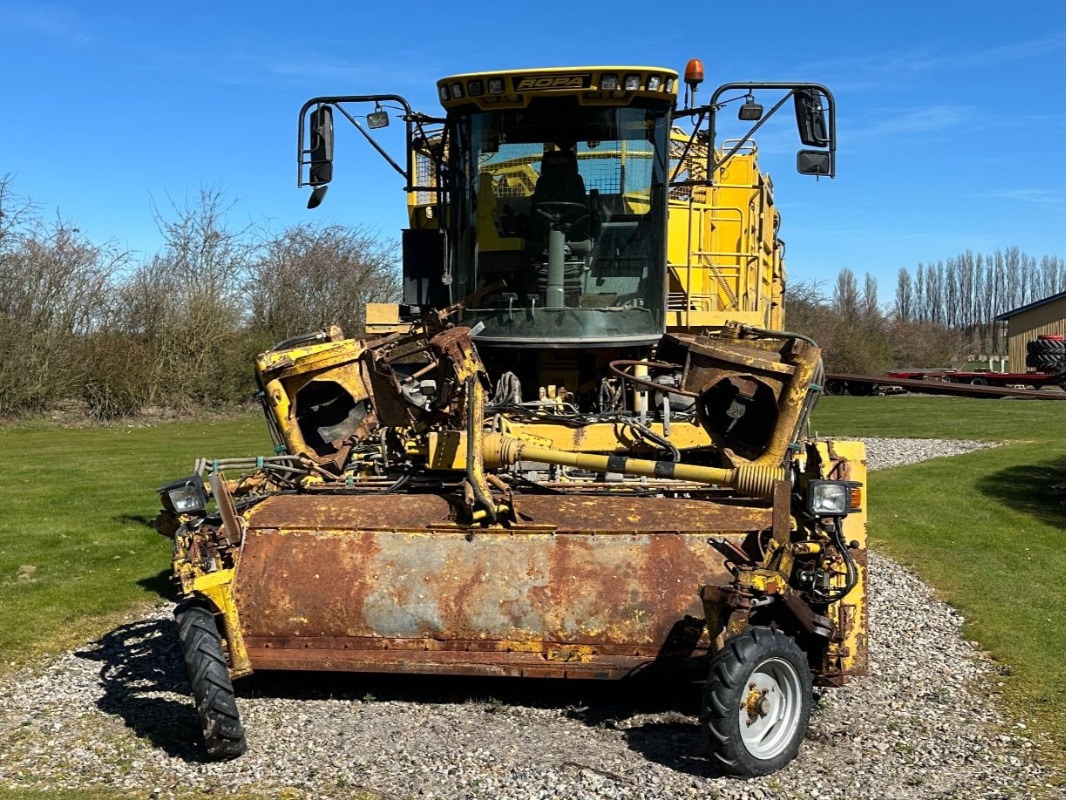 Ropa Euro Tiger - front