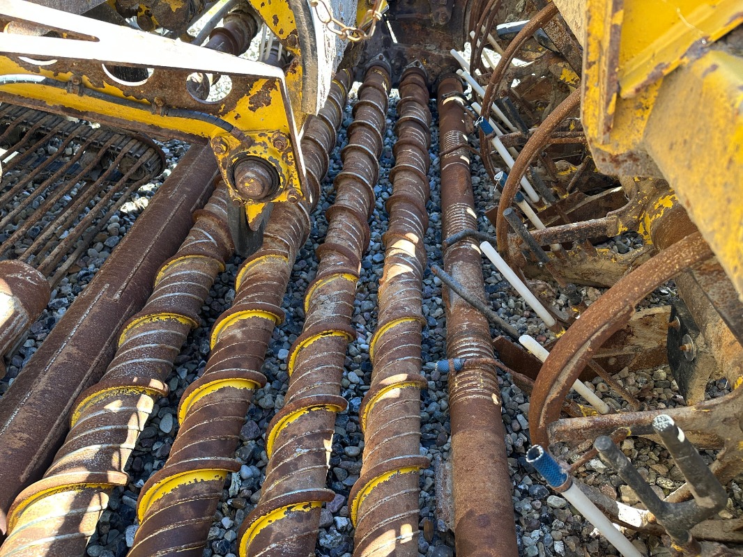 Ropa Euro Tiger - detail