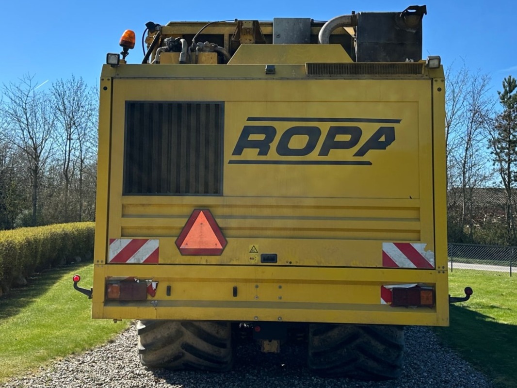 Ropa Euro Tiger - right