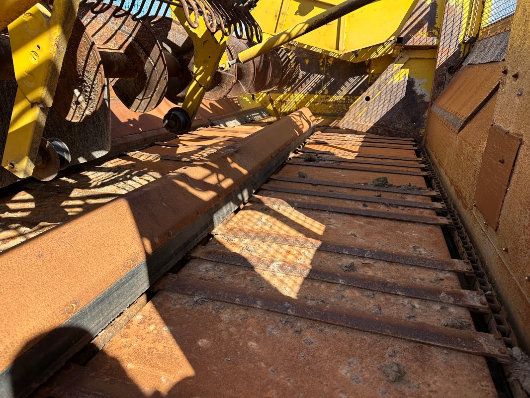 Ropa Euro Tiger - detail