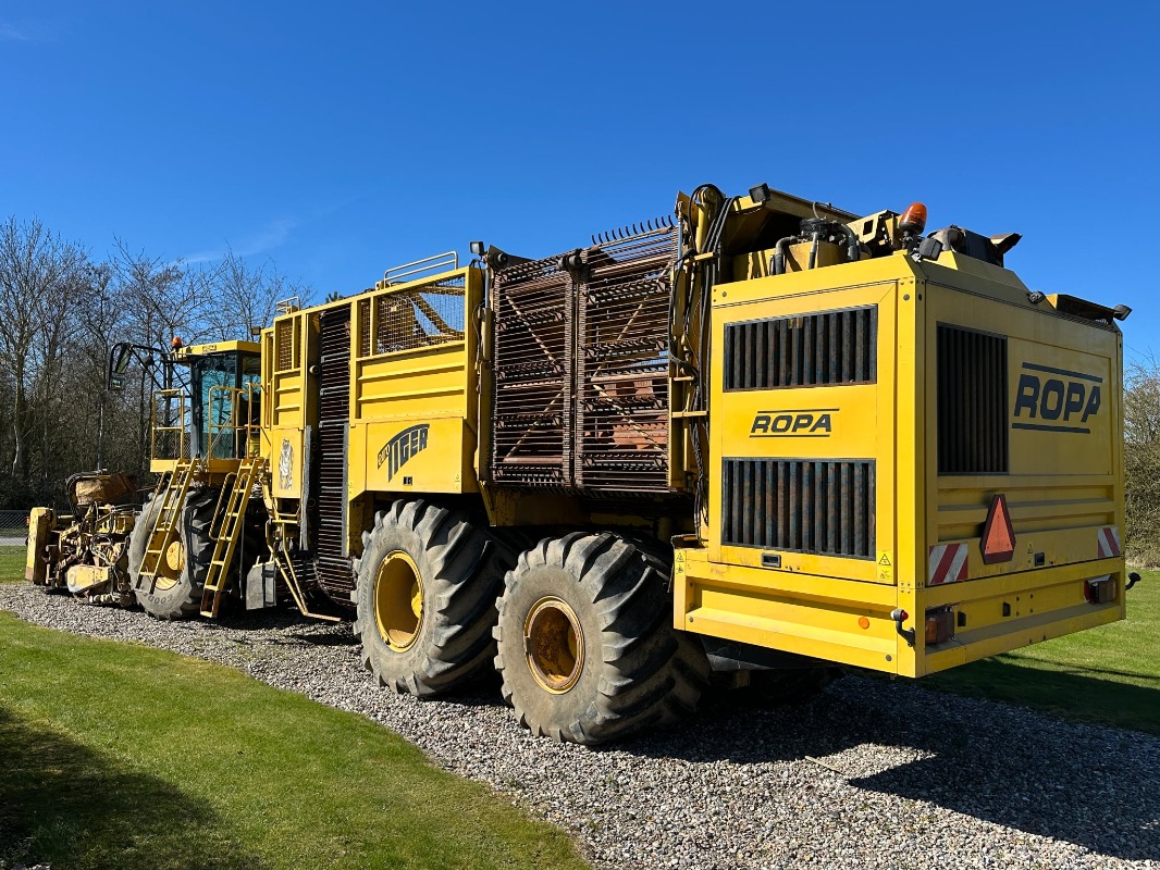 Ropa Euro Tiger - detail