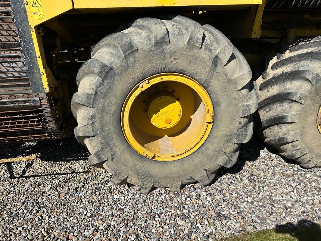 Ropa Euro Tiger - detail