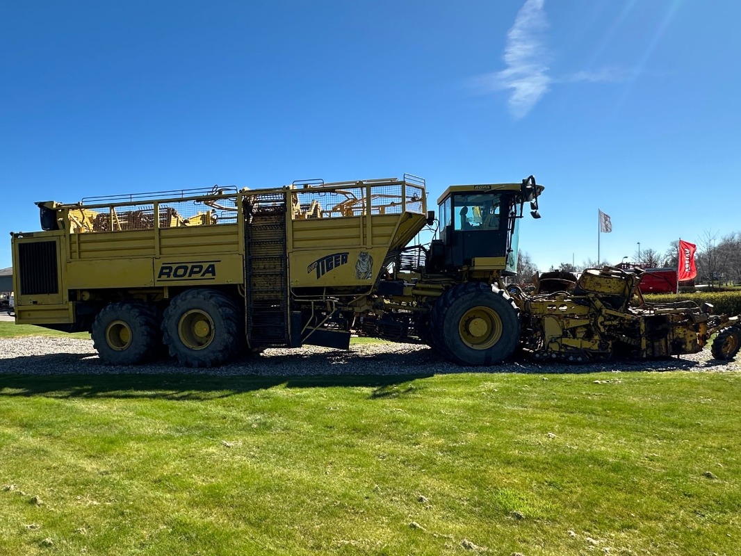 Ropa Euro Tiger - left