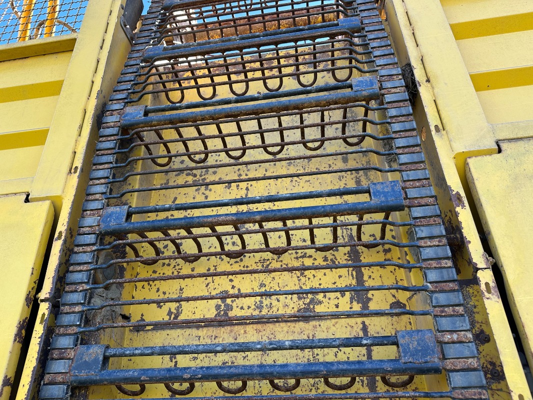 Ropa Euro Tiger - detail