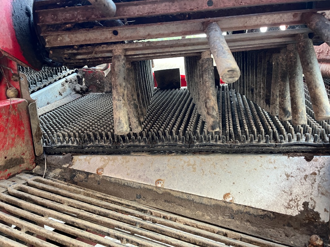 GRIMME SE 75-55-UB - detail