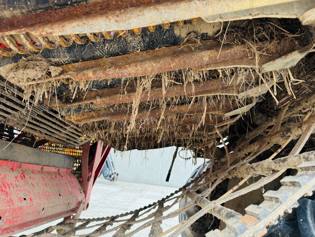 GRIMME SV-260-RS - detail