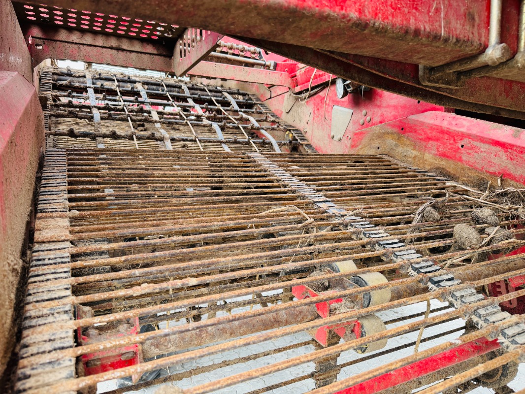 GRIMME SV-260-RS - detail