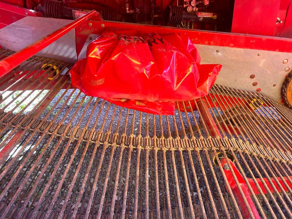 GRIMME SE 260 UB - detail