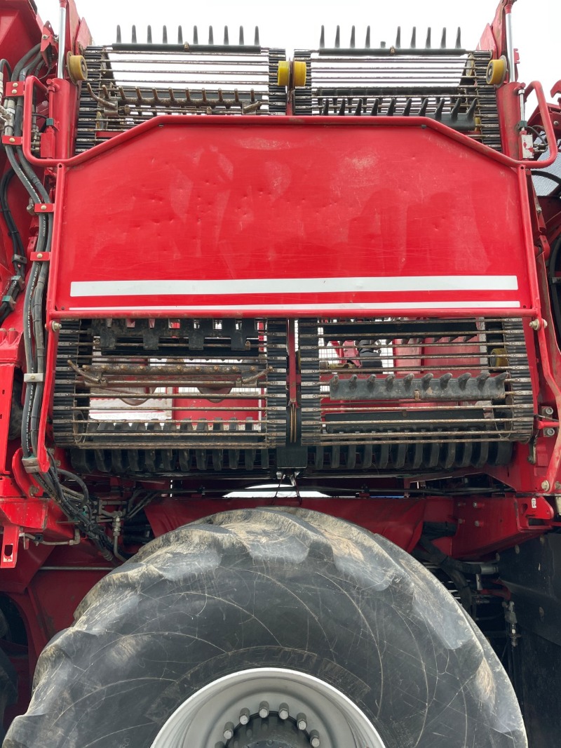 GRIMME REXOR 630 Rüttelschar FM - detail